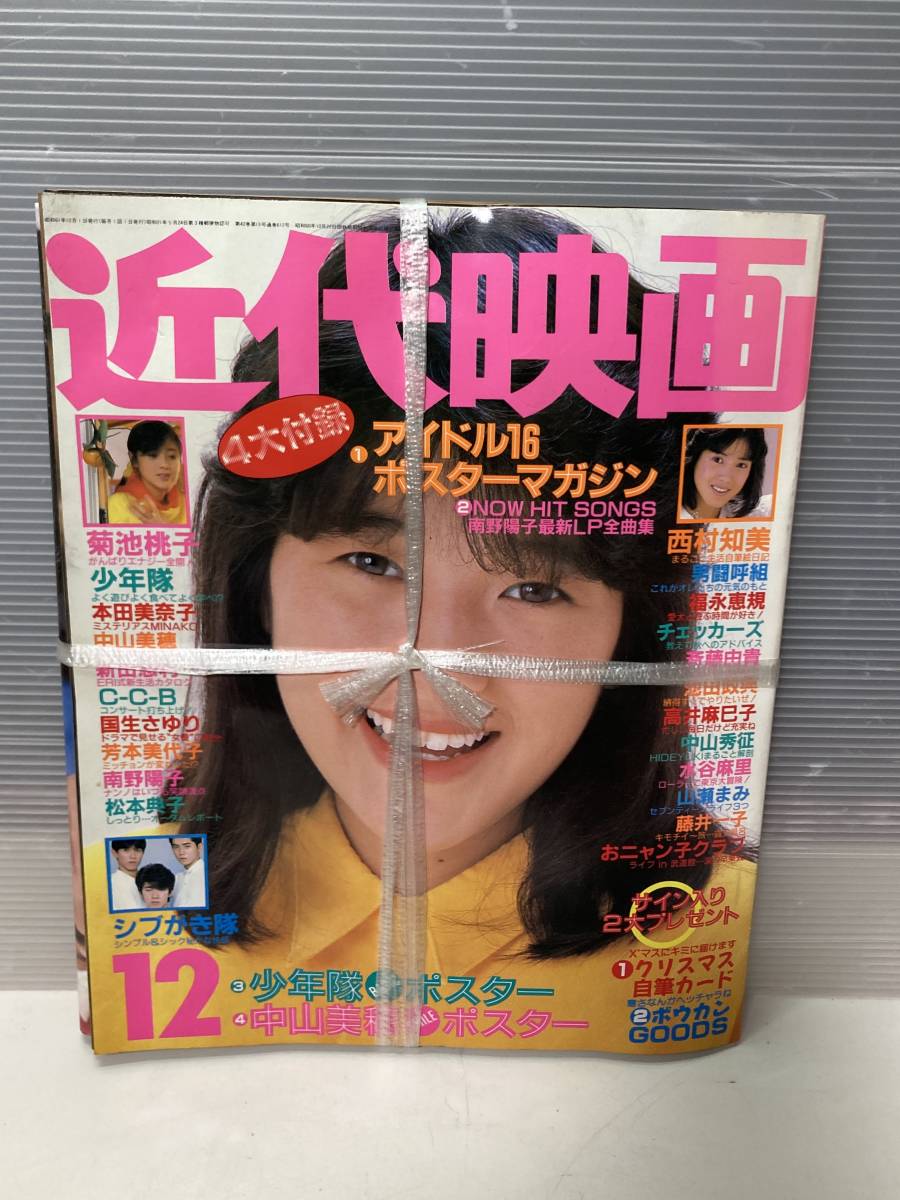 南野陽子 タペストリー①