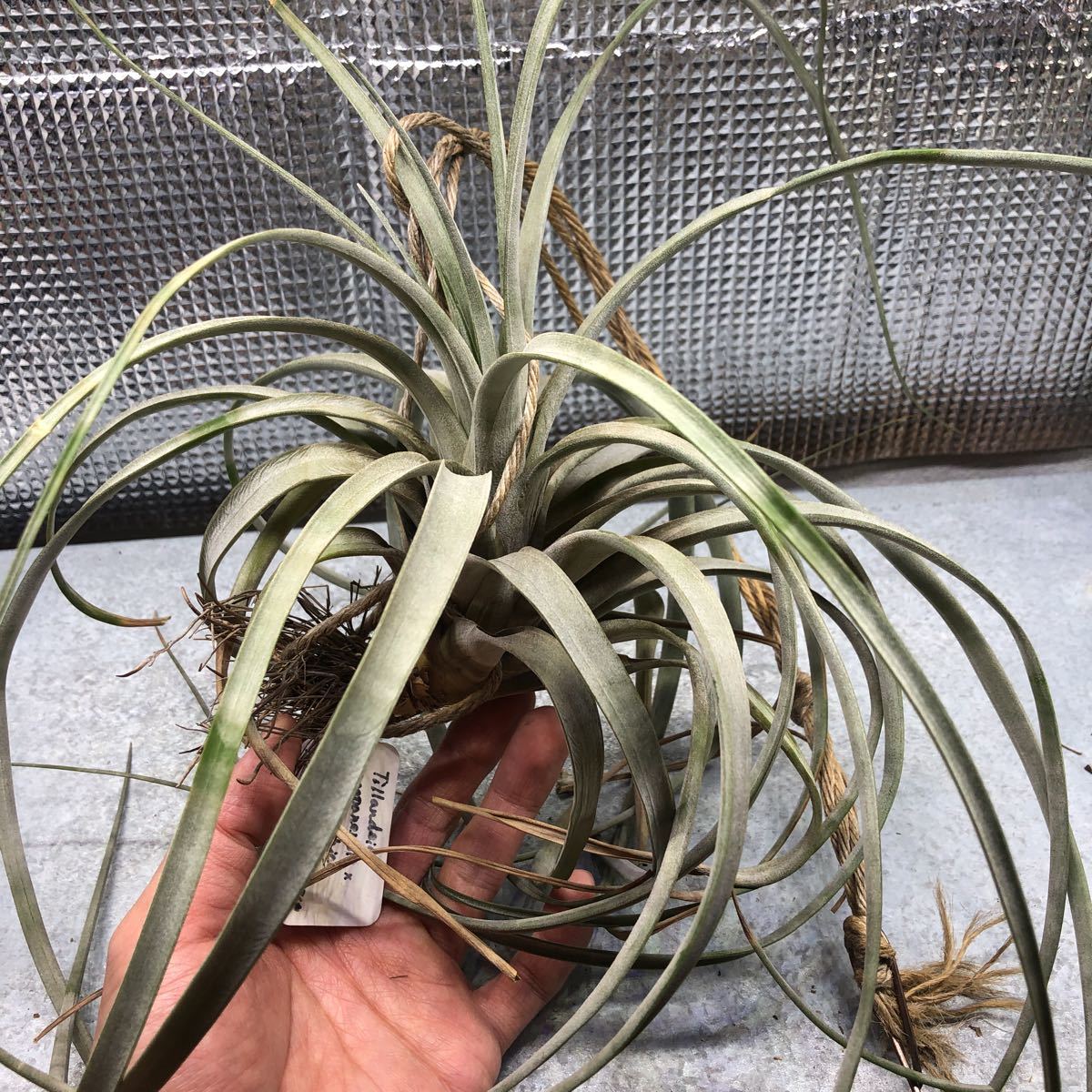 ハンドメイド オーダー 水筒 カバー サーモス 800 お受験 お教室 紺無地