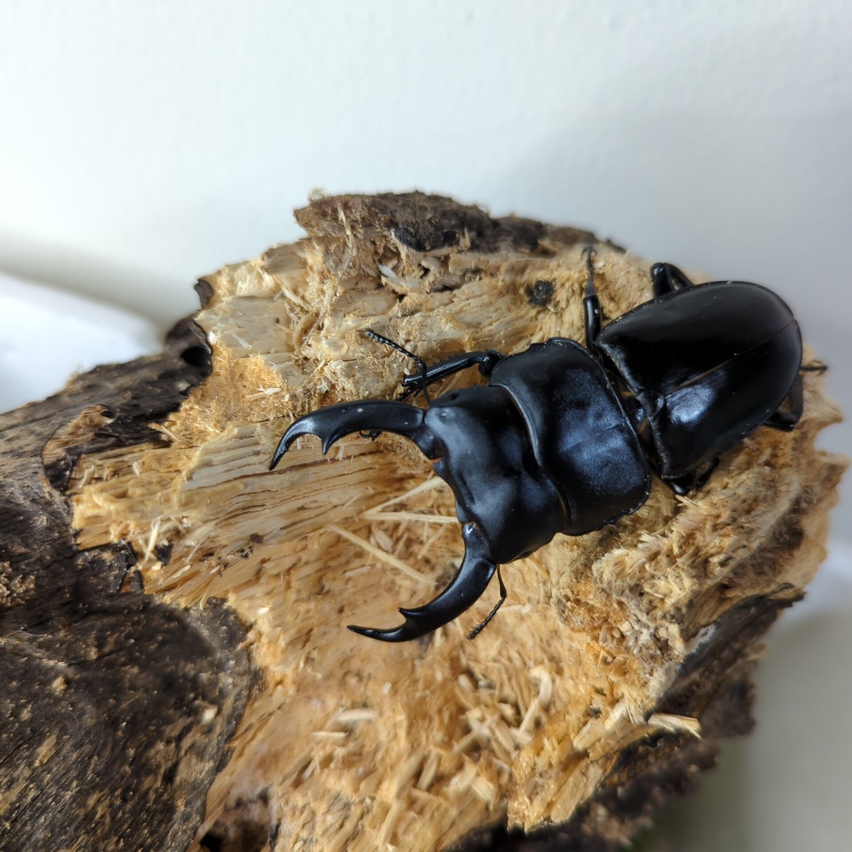 ビスクドール 赤ちゃん 約40cm ハンドメイド ファッションドール