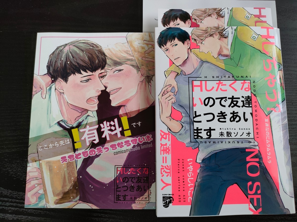 ソノビューのリーフレット