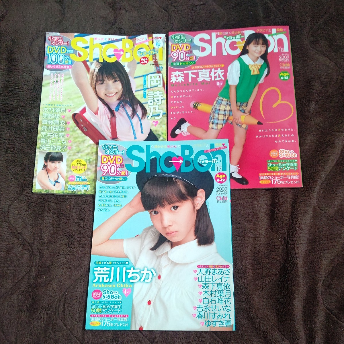 海王社ムック Sho-Boh ショーボー Vol 28 高丘桜子 DVD付き 海王