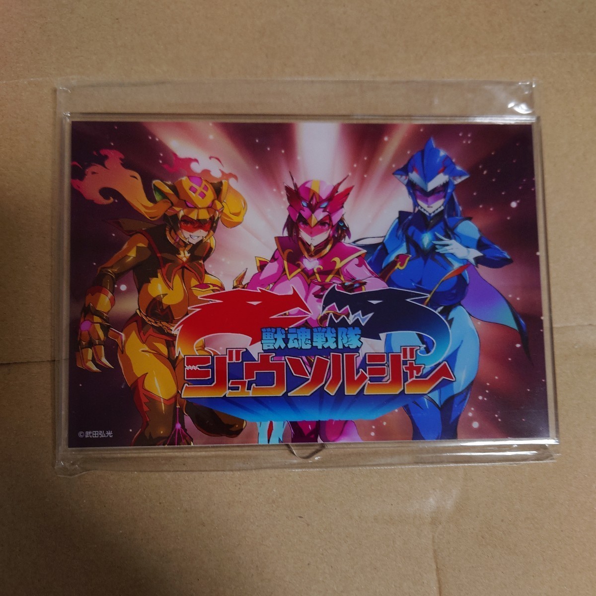 未使用】獣魂戦隊ジュウソルジャー THE HOLE ジュウブルー 蒼宮瑞波