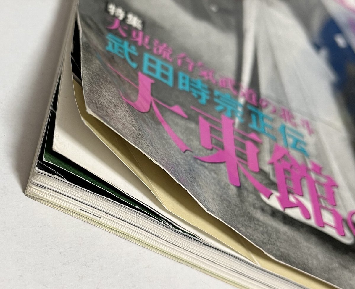 【やや傷や汚れあり】秘伝 1999年2月号※折れあり 大東館の遺産・武田時宗 宮本半蔵 名和弓雄の武術世界 長刀術と捕縄術 高木楊心流 秘伝 ...