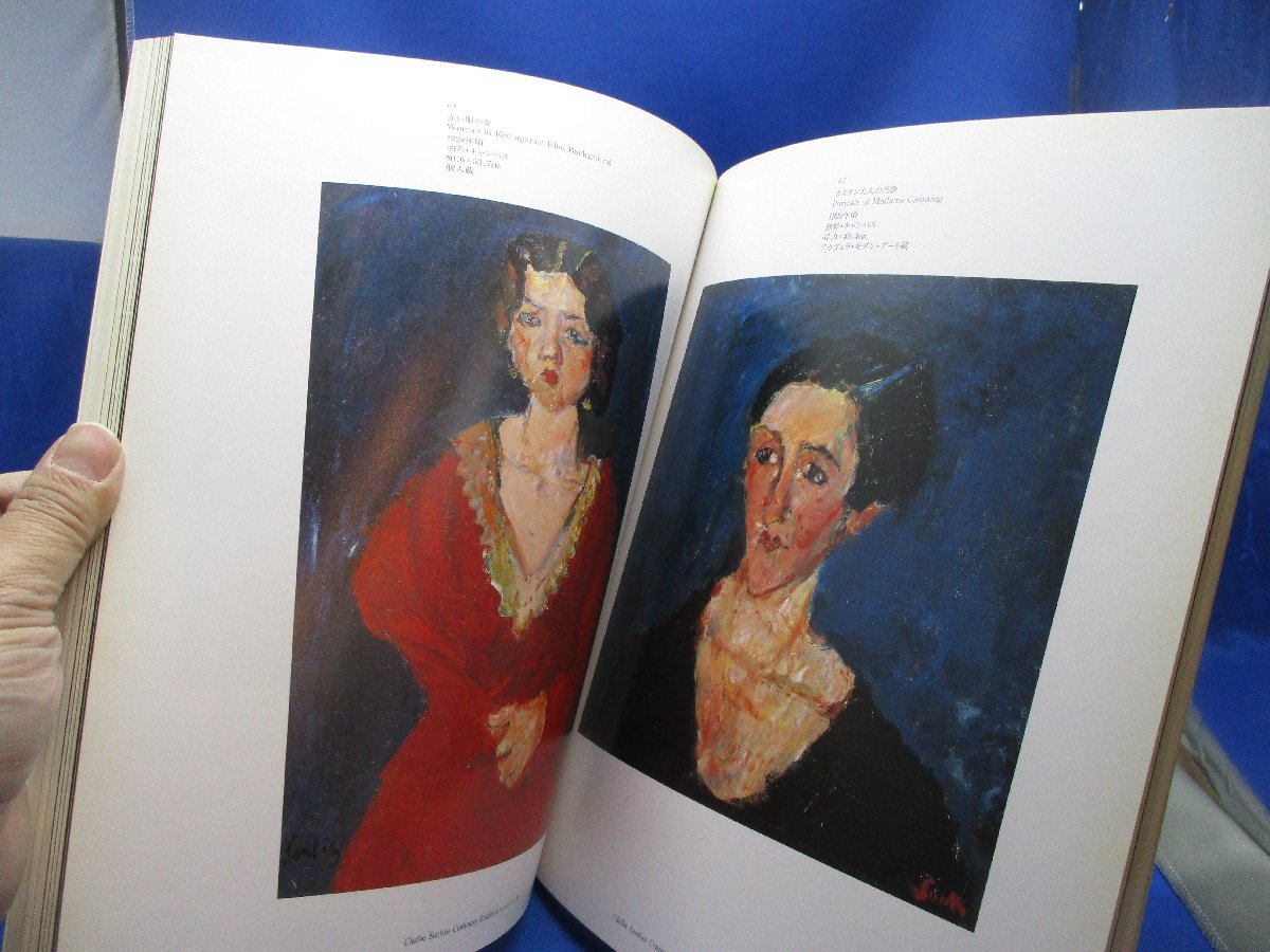 ハイム・スーチン画集 スーチン 全作品集 図録 画集 洋書
