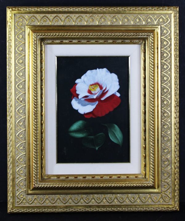 貝の花　油絵　F4(242×333mm) 貝の花油絵F4(242×333mm)