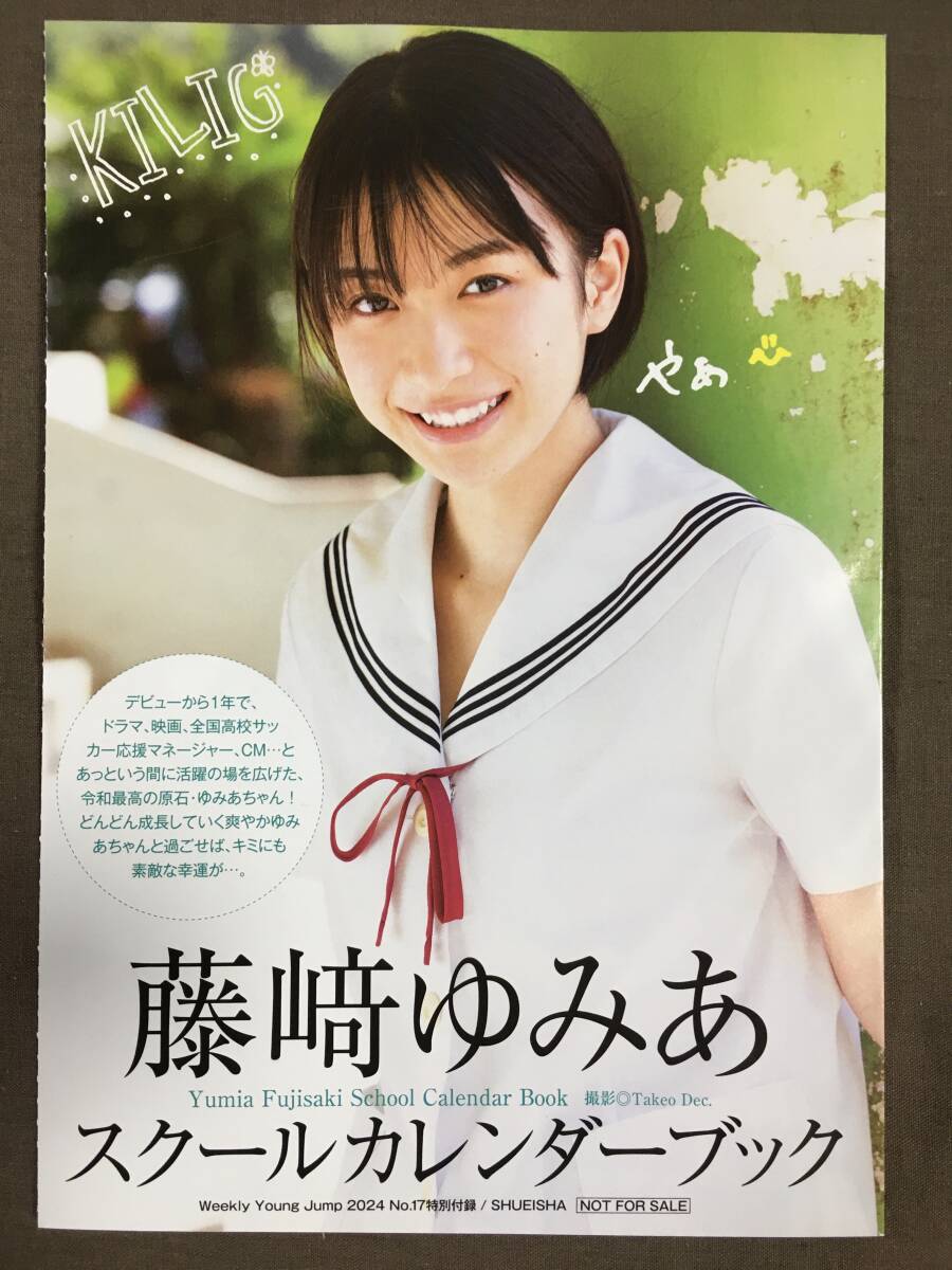 武田玲奈 石川恋 スペシャルフォトブック YJプレミアム会員限定 ヤング 