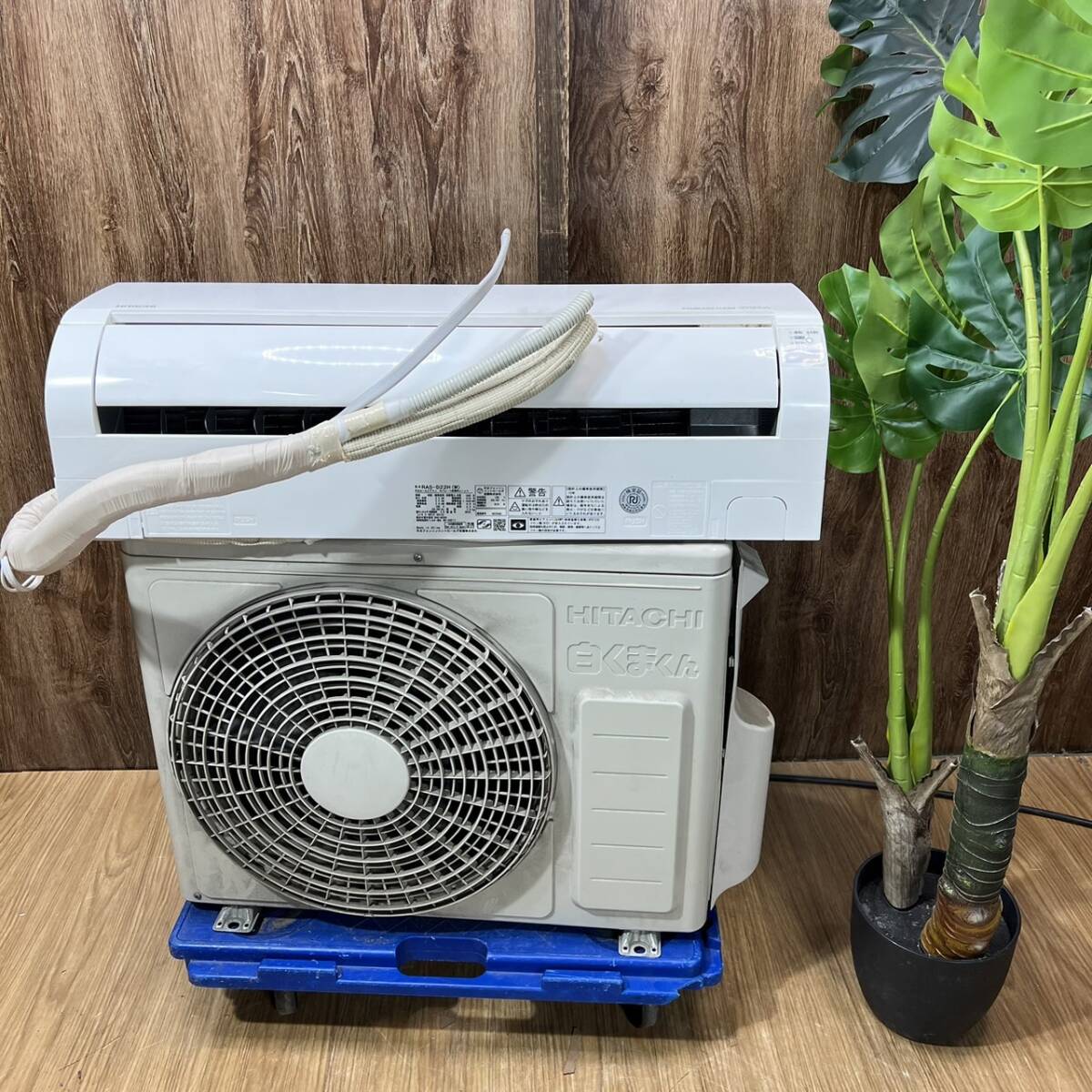 日立ルームエアコン白くまくん HITACHI 白くまくん D RAS-D22H(W) 型式 