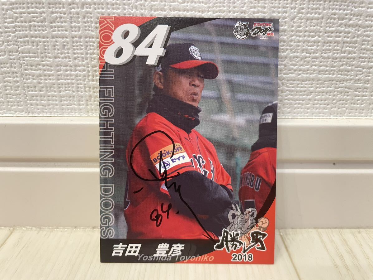 2004 1st井川&城島　50枚限定コンボジャージカード 2004 1st井川&城島 50枚限定コンボジャージカード（ミントモール