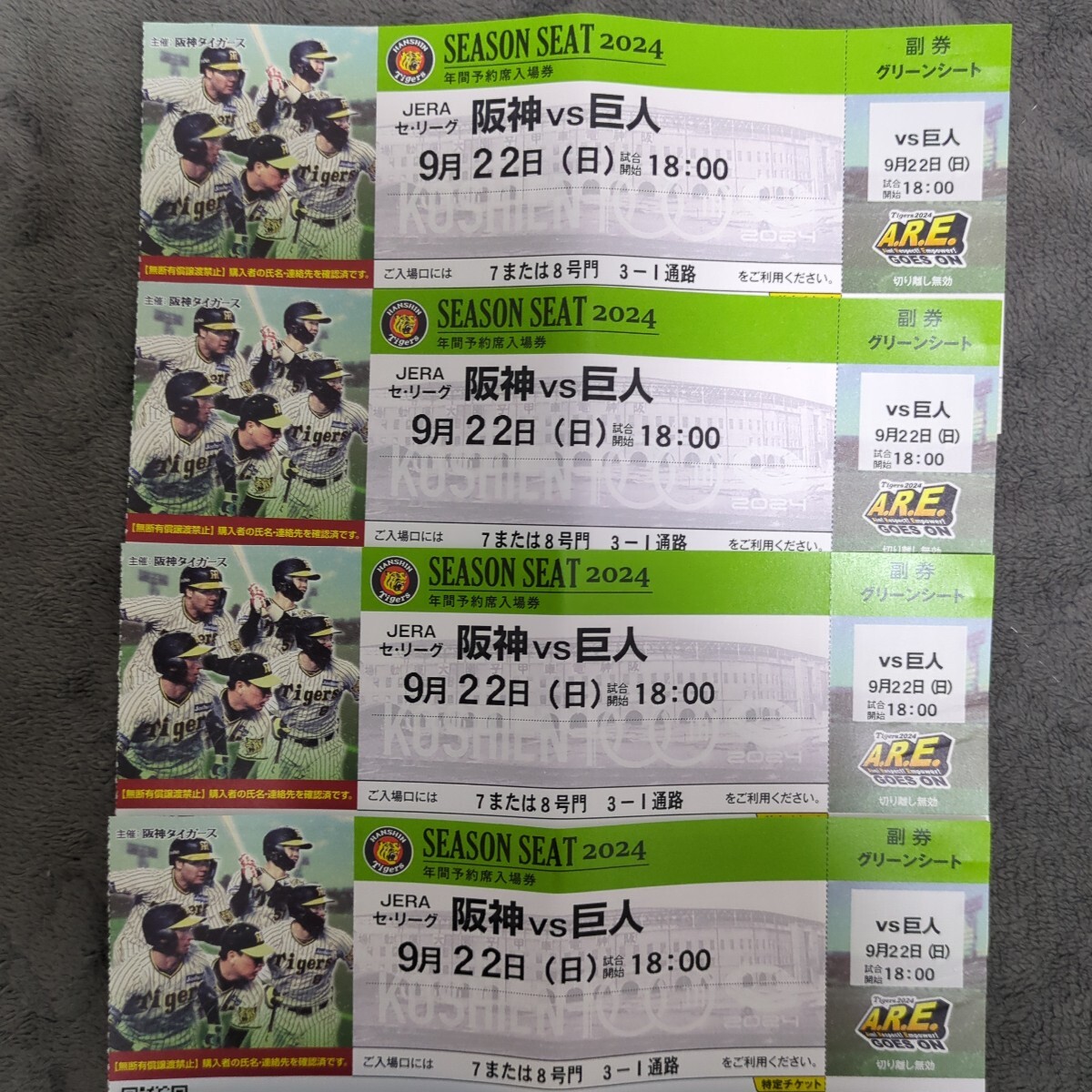 阪神甲子園球場　グリーンシート　阪神VS巨人　7/31(水)　18時試合開始 阪神タイガース - 7月31日18時 甲子園 阪神vs巨人 グリーン上段通路側