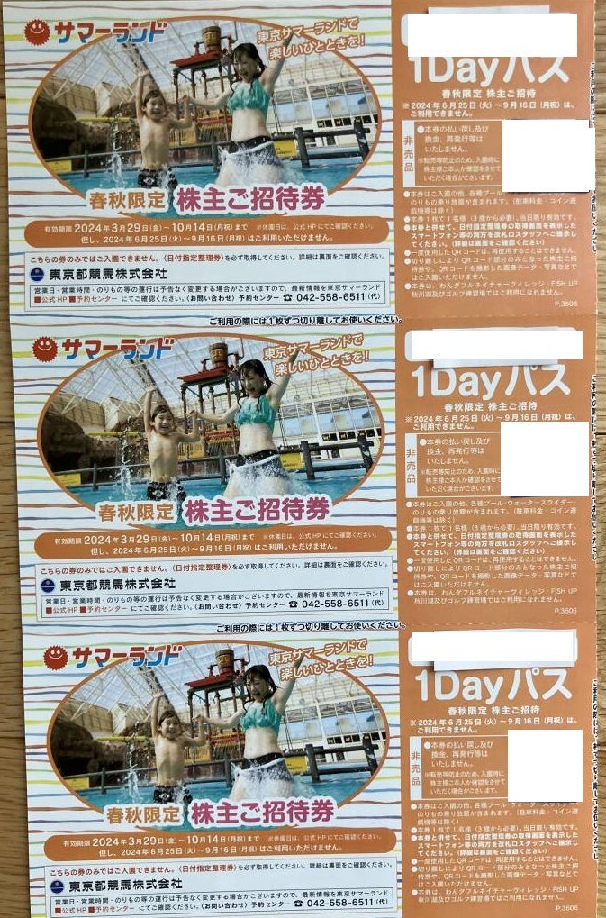 サマーランド 1デイパス 長けりゃ 春秋限定 株主ご招待券 4枚セット