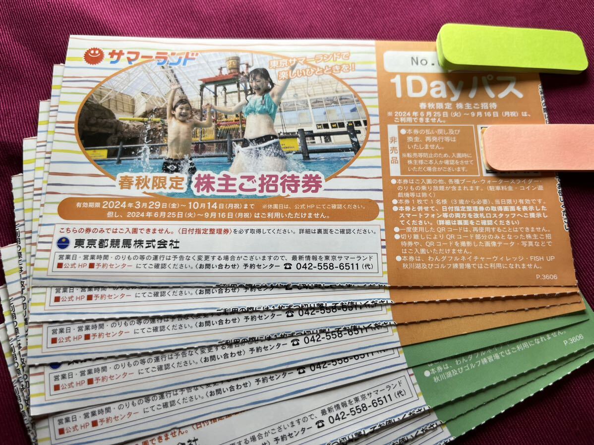 サマー ランド チケット  2枚(株主優待1Dayフリーパス) フリーパス 2枚 東京サマーランド 株主優待券 チケット 1Dayパス