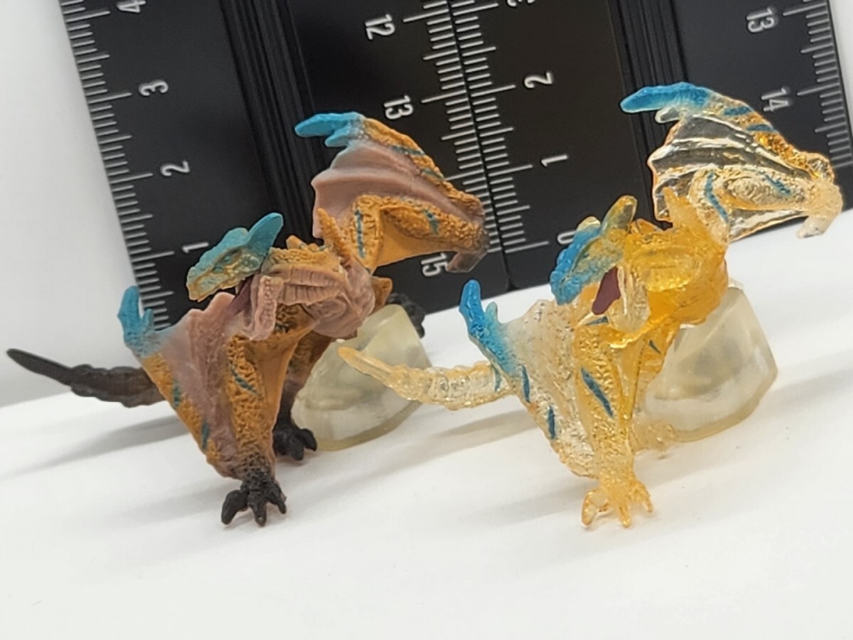 セルレギオス、ナルガクルガ、ゴア・マガラセット