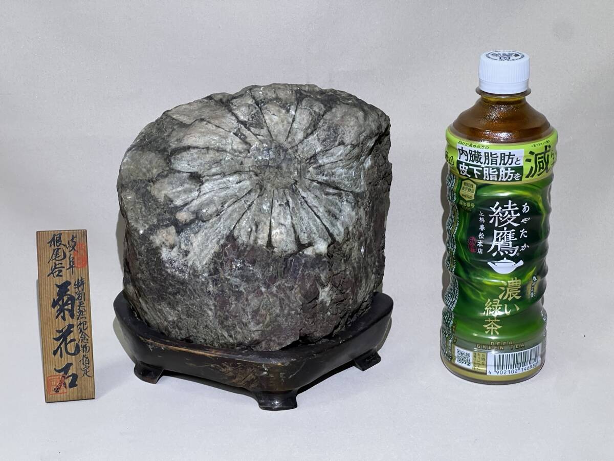 最終価格　菊花石　 天然石 鉱物 置物 最終価格 菊花石 天然石 鉱物 置物 菊花石 約2.3kg 台付き 鑑賞石