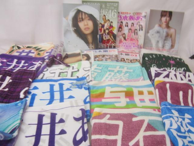 小さなふくらみ　写真集 