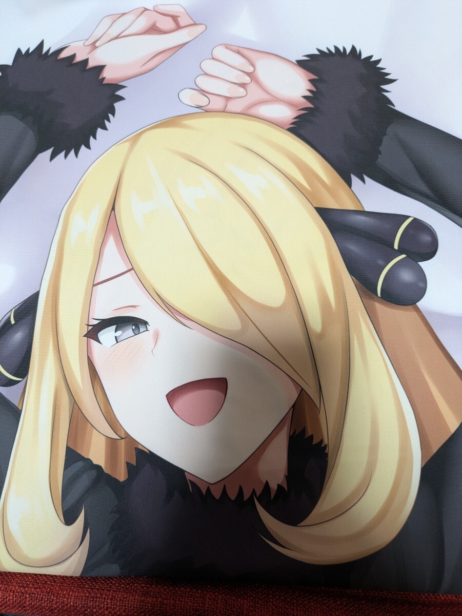 未使用】【正規品】 ラッコパーティー ポケモン ヒカリ SJ有 抱き枕  