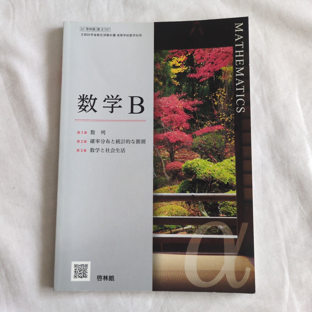 即決・送料込み】2000年代 ポーランドの算数教科書 全6冊 【公式通販】