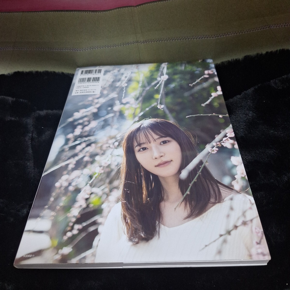 朝倉あき 写真集「朝顔」初版DVD付き