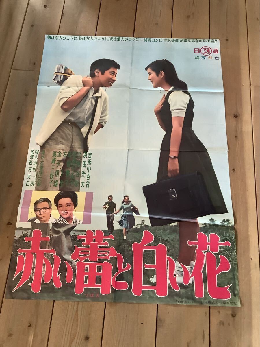 購入前確認 DVD 光る海 中平康 吉永小百合 日活青春スター総出演 愛と性 購入前確認 DVD 光る海 中平康 吉永小百合 日活青春スター総出演