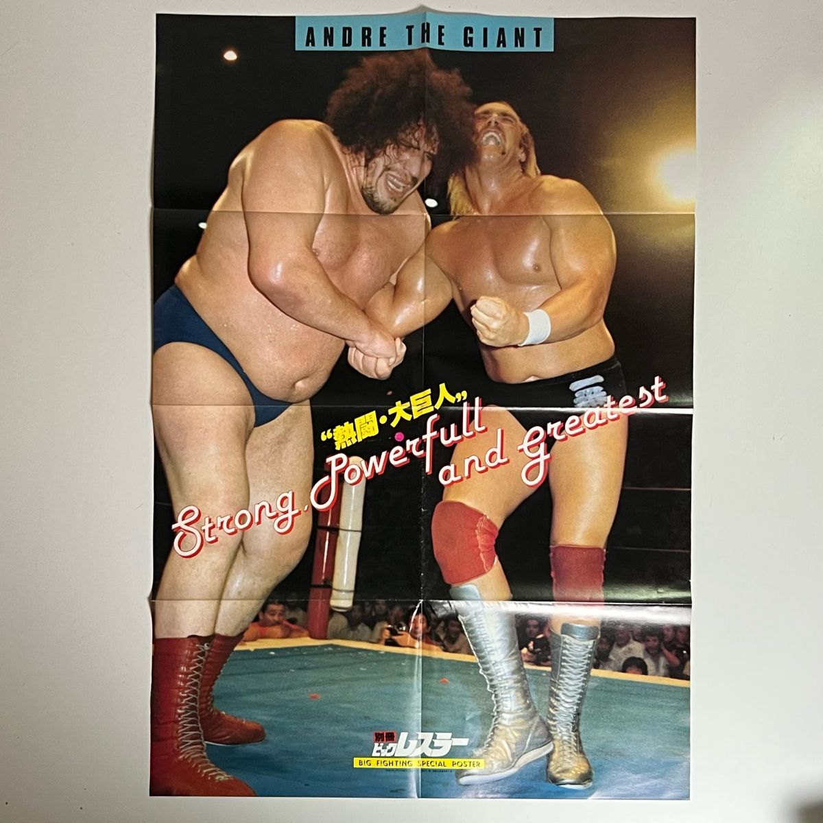 1981 ポピー スーパープロレスラーシリーズ アンドレ・ザ