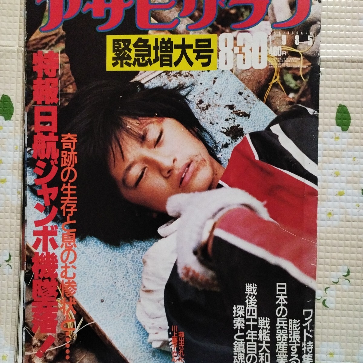 ☆DVD 御巣鷹山 日航機墜落事故 堀田不同/荻野祥子/渡辺文樹監督の落札