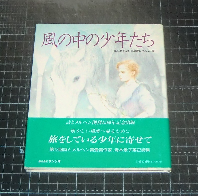 中古】光GENJI シングルCD 風の中の少年 レア プレミア ジャニーズの