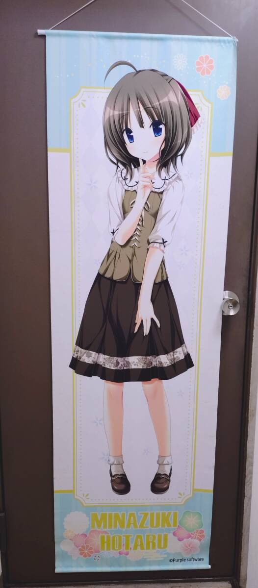 新品】青春フラジャイル オフィシャル通販特典 B2タペストリー 桜宮響