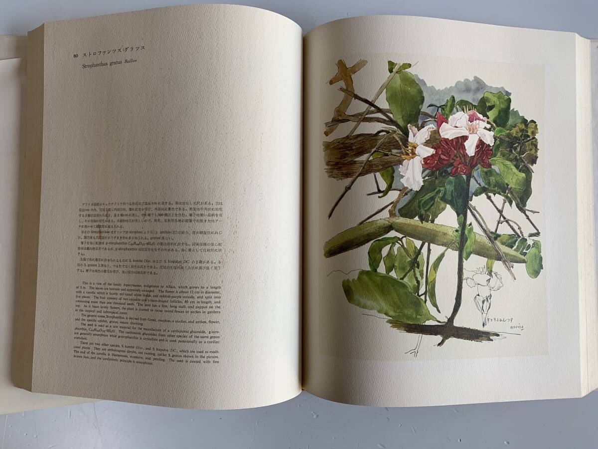 非売品『薬用植物画譜 ATLAS OF MEDICINAL PLANTS』武田薬品工業株式 