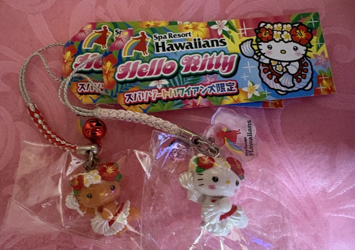 激レア♪レトロ☆1999年ハイビスカスキティちゃんロープ付浮き輪100