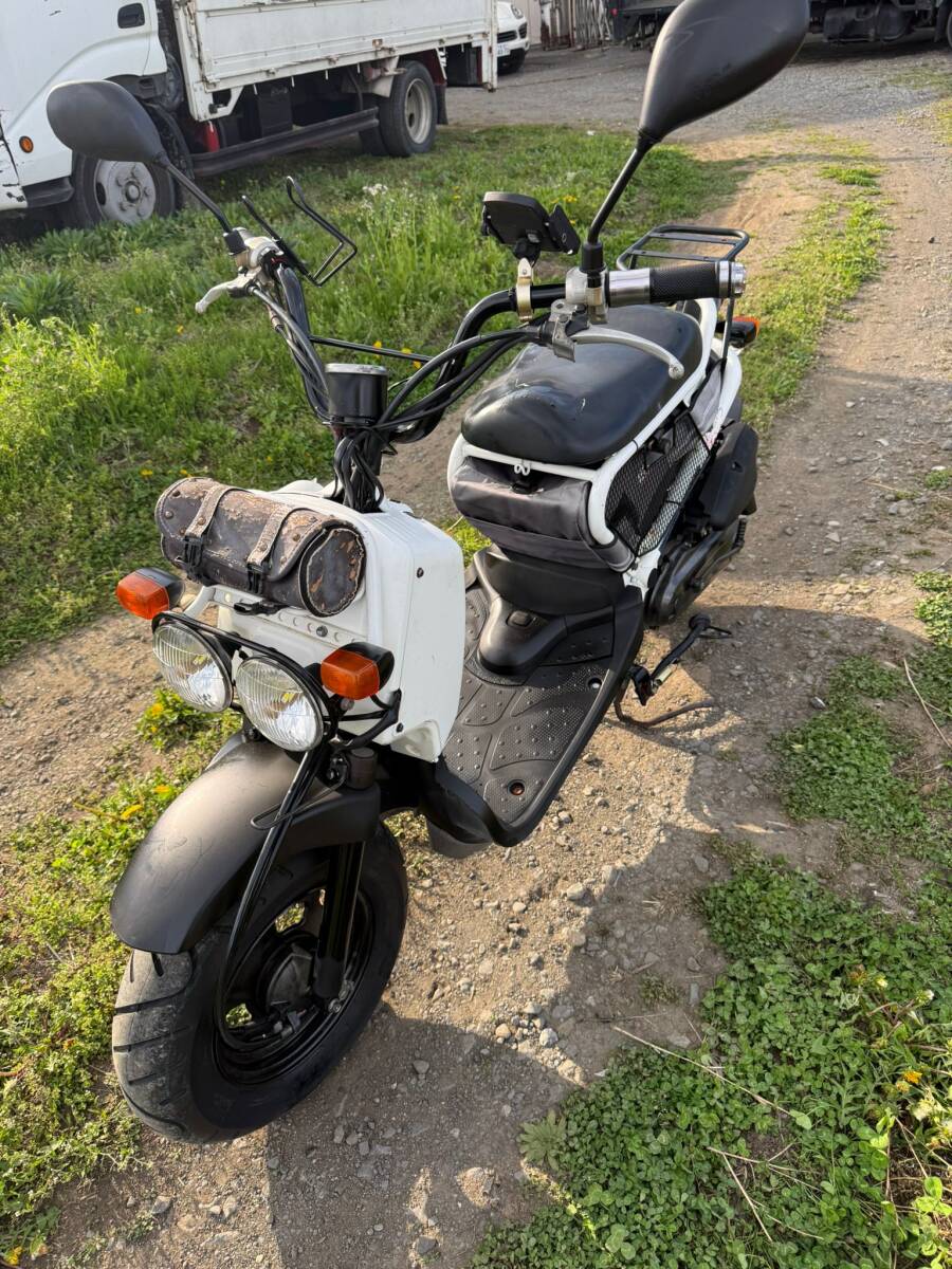 HONDA ズーマー ZOOMER AF58 キャブ車 実働車 整備済 赤 レッド 初期