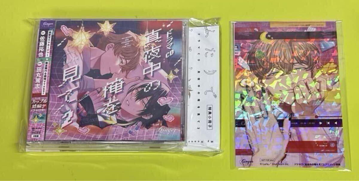 新品】☆送料100円☆紀伊カンナ☆春風のエトランゼ（3 