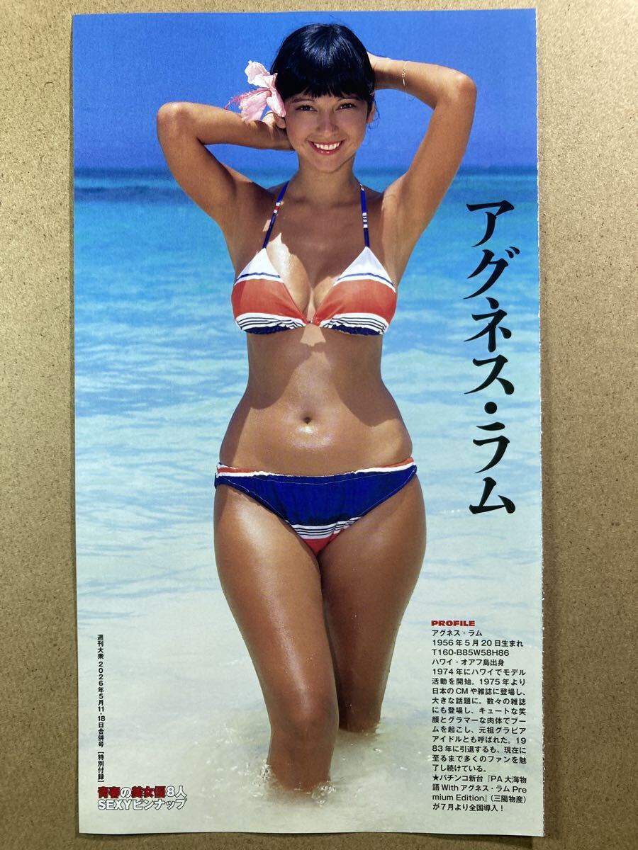 お宝☆アグネス・ラム☆水着グラビア☆6P☆22歳☆切り抜きの落札
