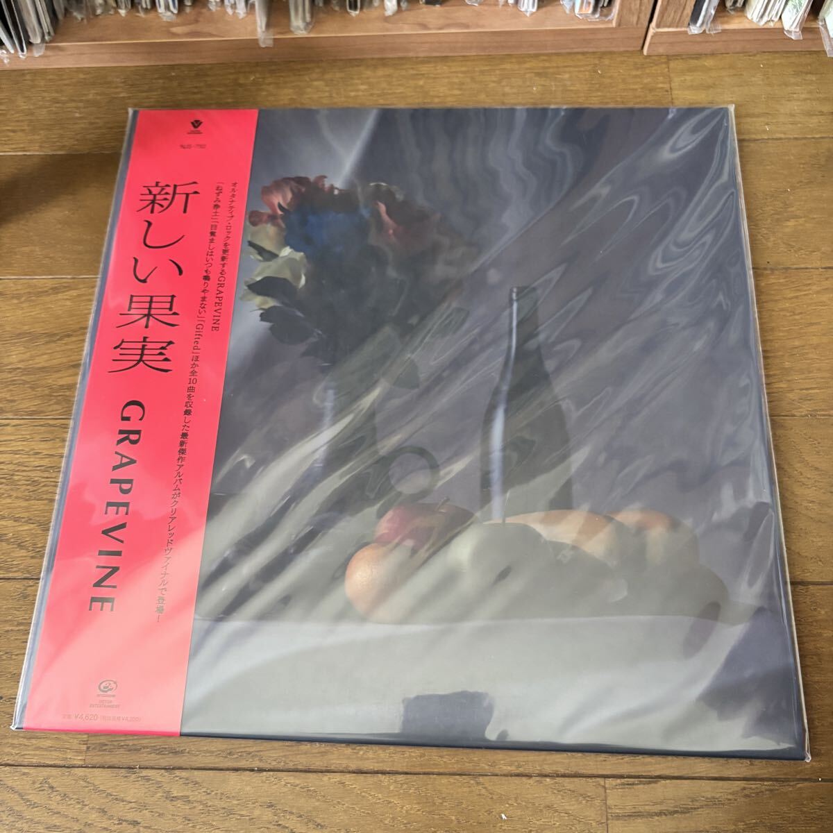 同梱可】GRAPEVINE 家に帰れば カセットテープ デモテープ【02の落札 