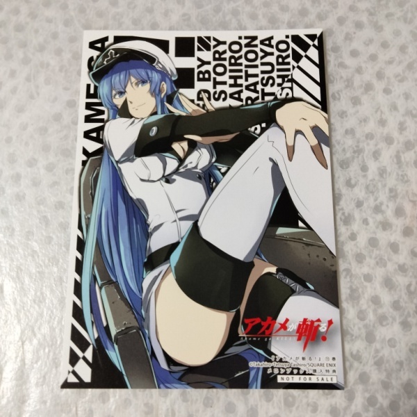 新品】アカメが斬る！零 ZERO 8巻 ゲーマーズ購入特典ブックカバー Gの