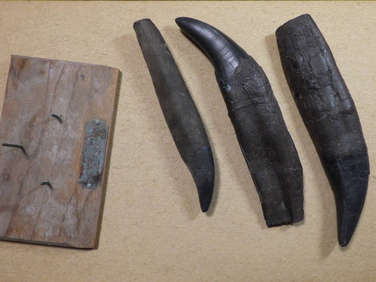 M【12-18】○11 エポック社 武装恐竜ダイノス ルーラン軍