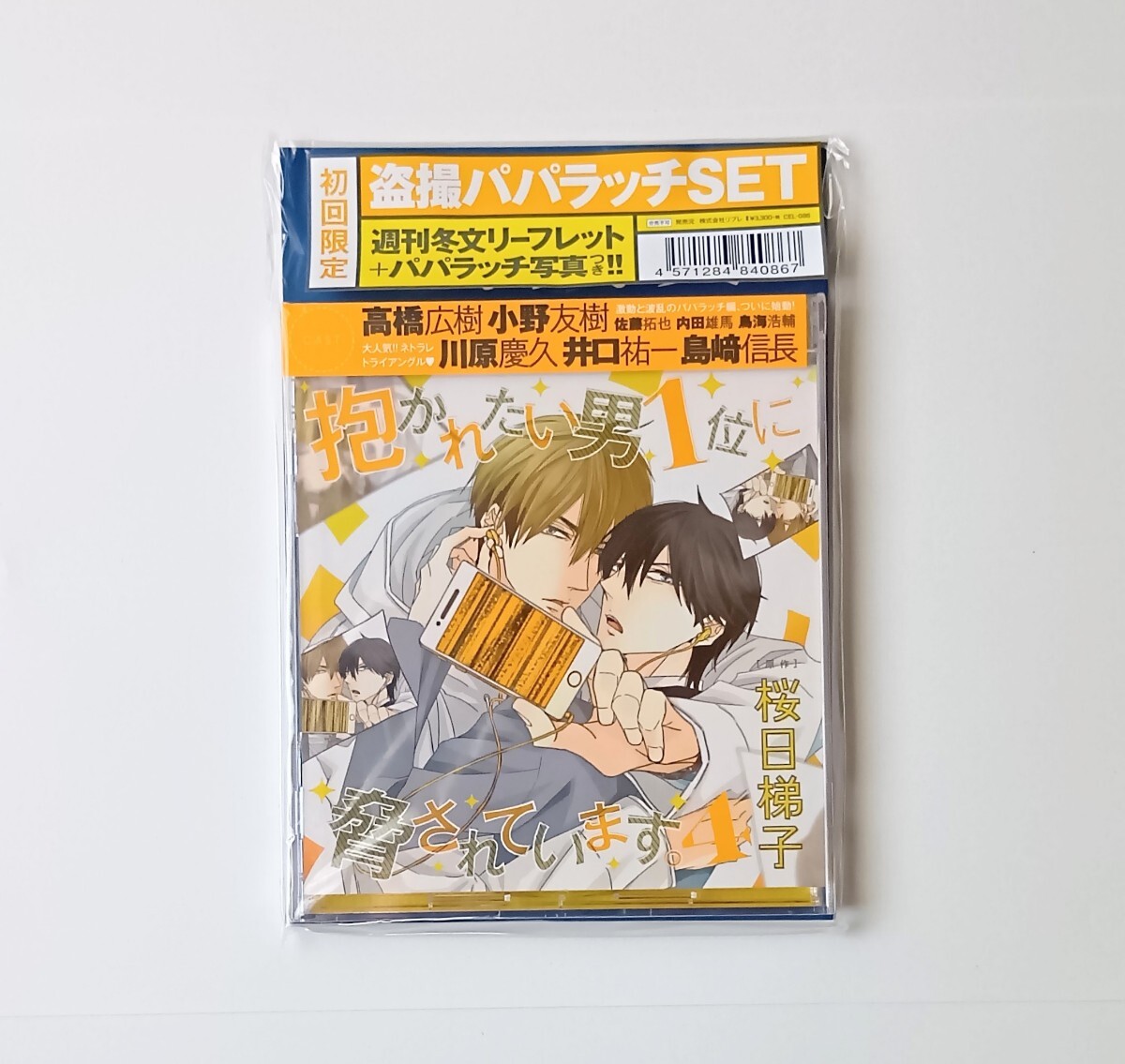 目立つ難あり☆桜日梯子 ペーパー＆アニメイト特典リーフレット 抱かれ