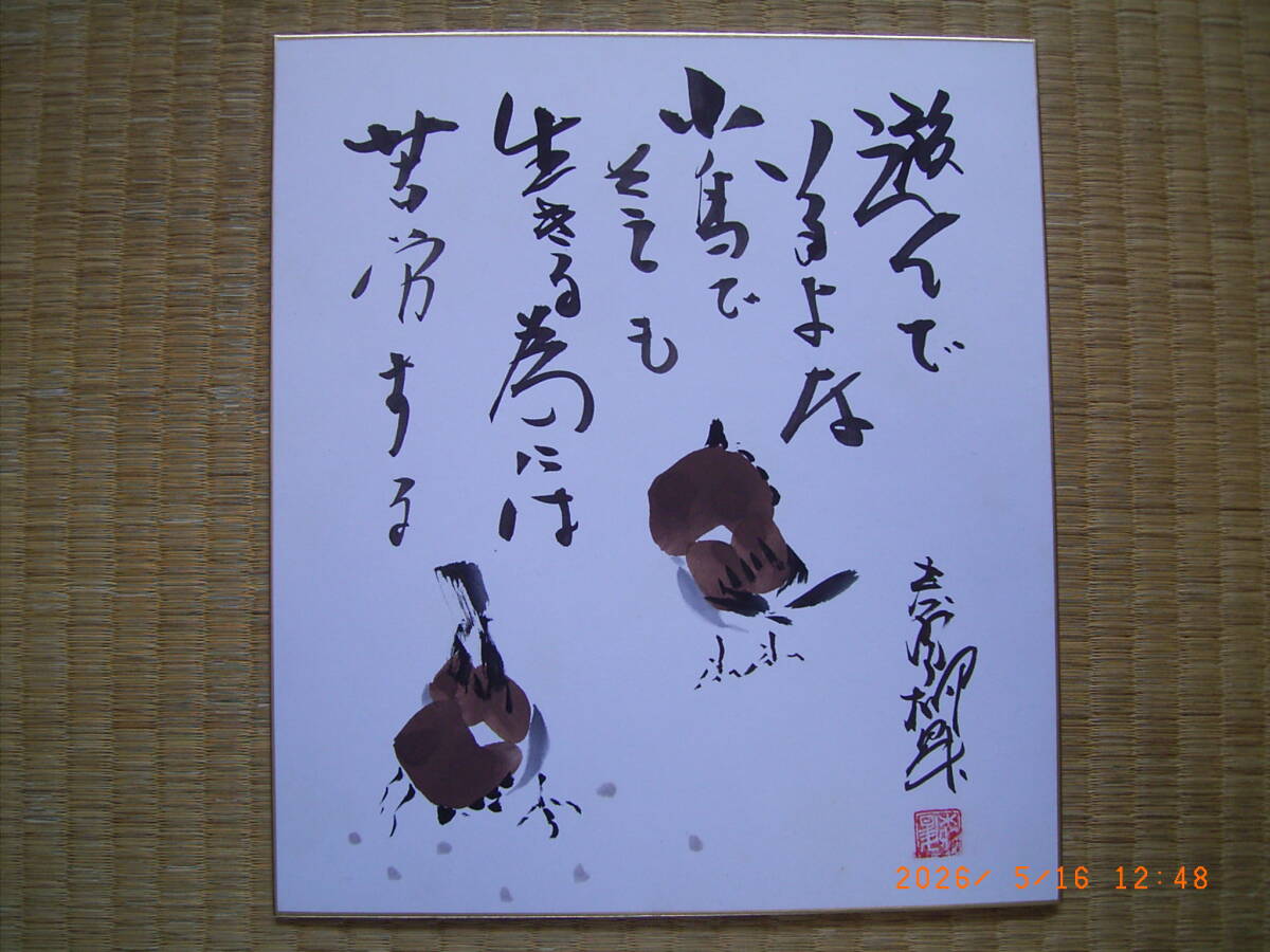 山本梓 写真集 『あずだらけ』（初版） 直筆サイン入 送料185円 の落札