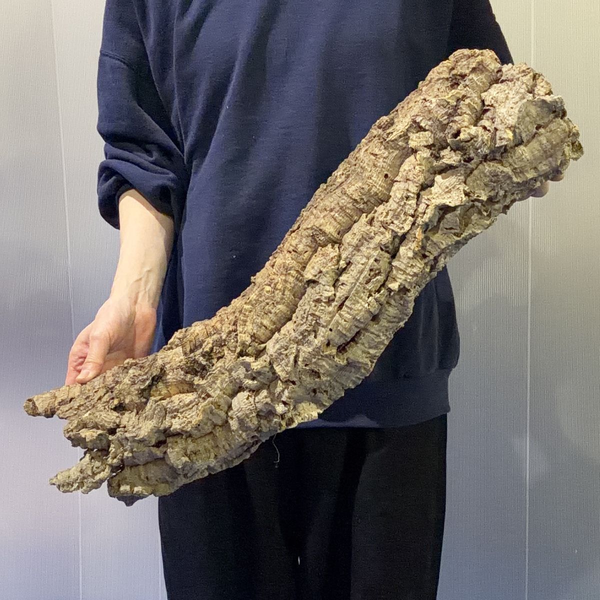 直近30日の花、園芸カテゴリオークション落札価格一覧 - オークフリー