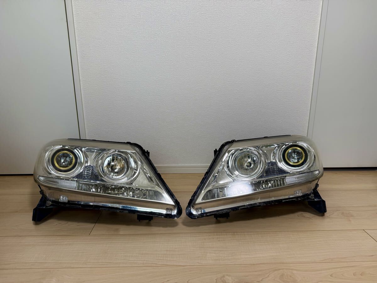 即決有☆カラーサンプル 1/24 ホンダ HONDA エリシオン プレステージ