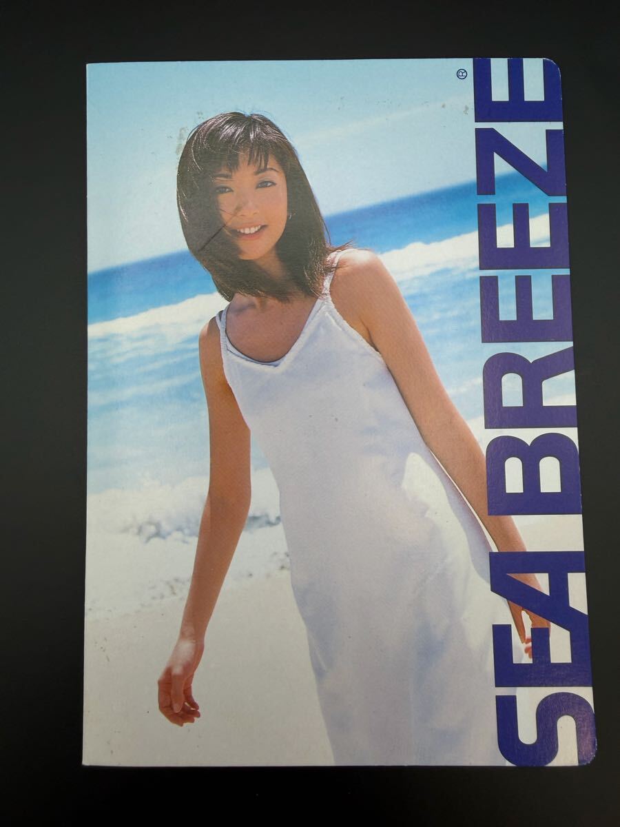 中古】90年代【企業販促品 広告 歌手 タレント ポスター】安室奈美恵