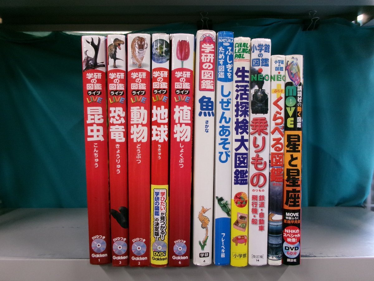 中古】DVD☆しぜんとあそぼ 虫 ちいさな ともだち NHK 昆虫かまきり 