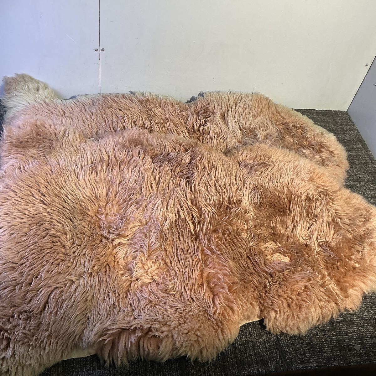 オーストラリア カンガルー 毛皮 ラグマット 約136x85cm 天然 毛皮 革