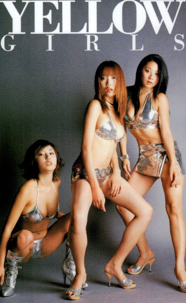 中古】佐藤江梨子、小池栄子、MEGUMI等身大ポスター三点セットの落札