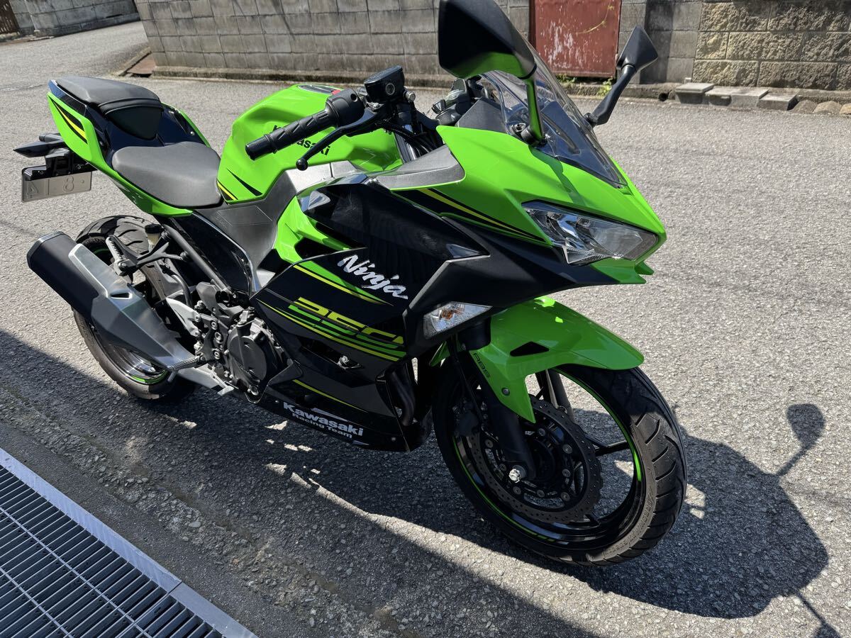 目立った傷や汚れなし】ZX-12R/A型/SCプロジェクト/チタンフルエキ/350