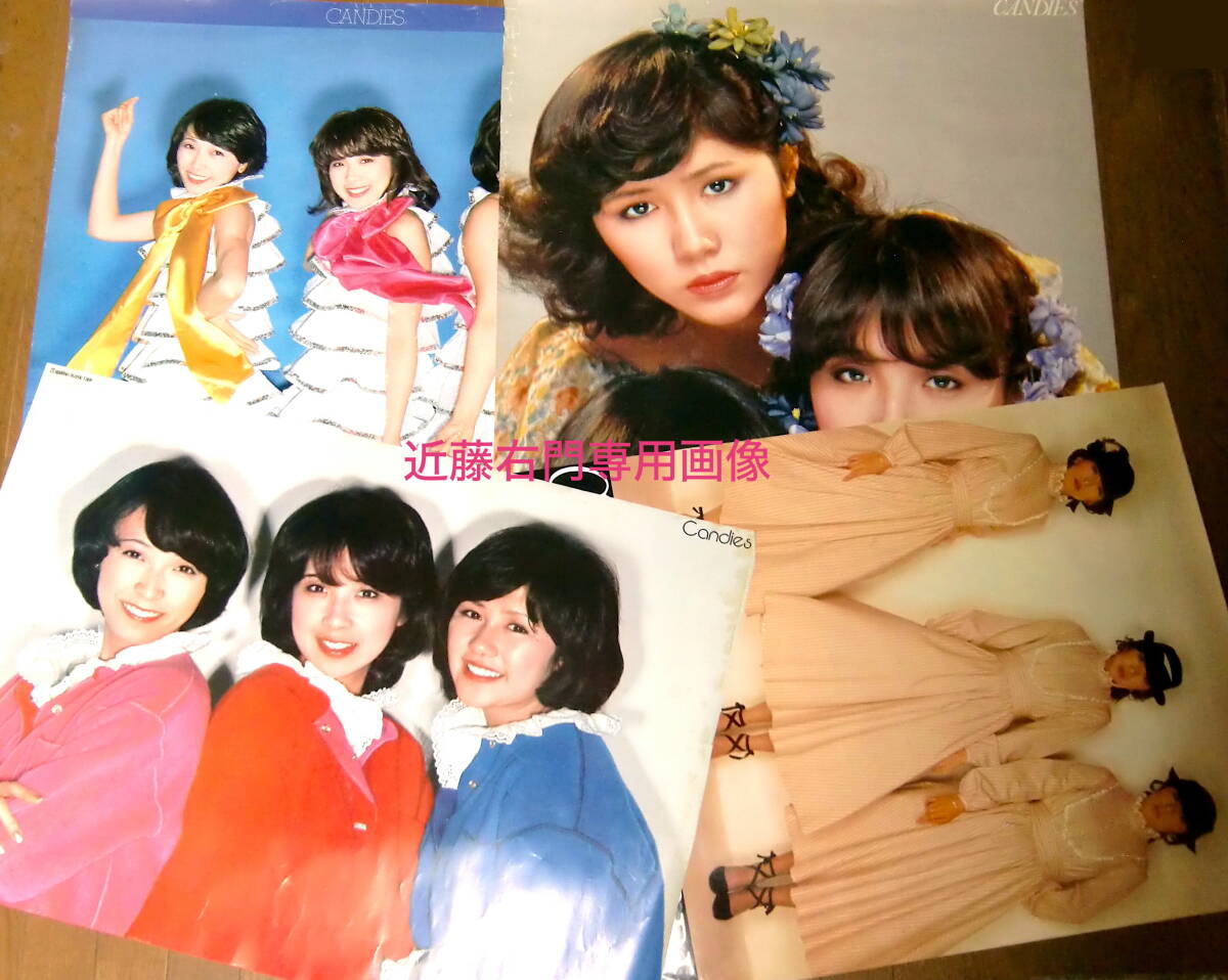 キャンディーズ ポスター/夏が来た！/1976年/販促品/非売品/CBSソニー
