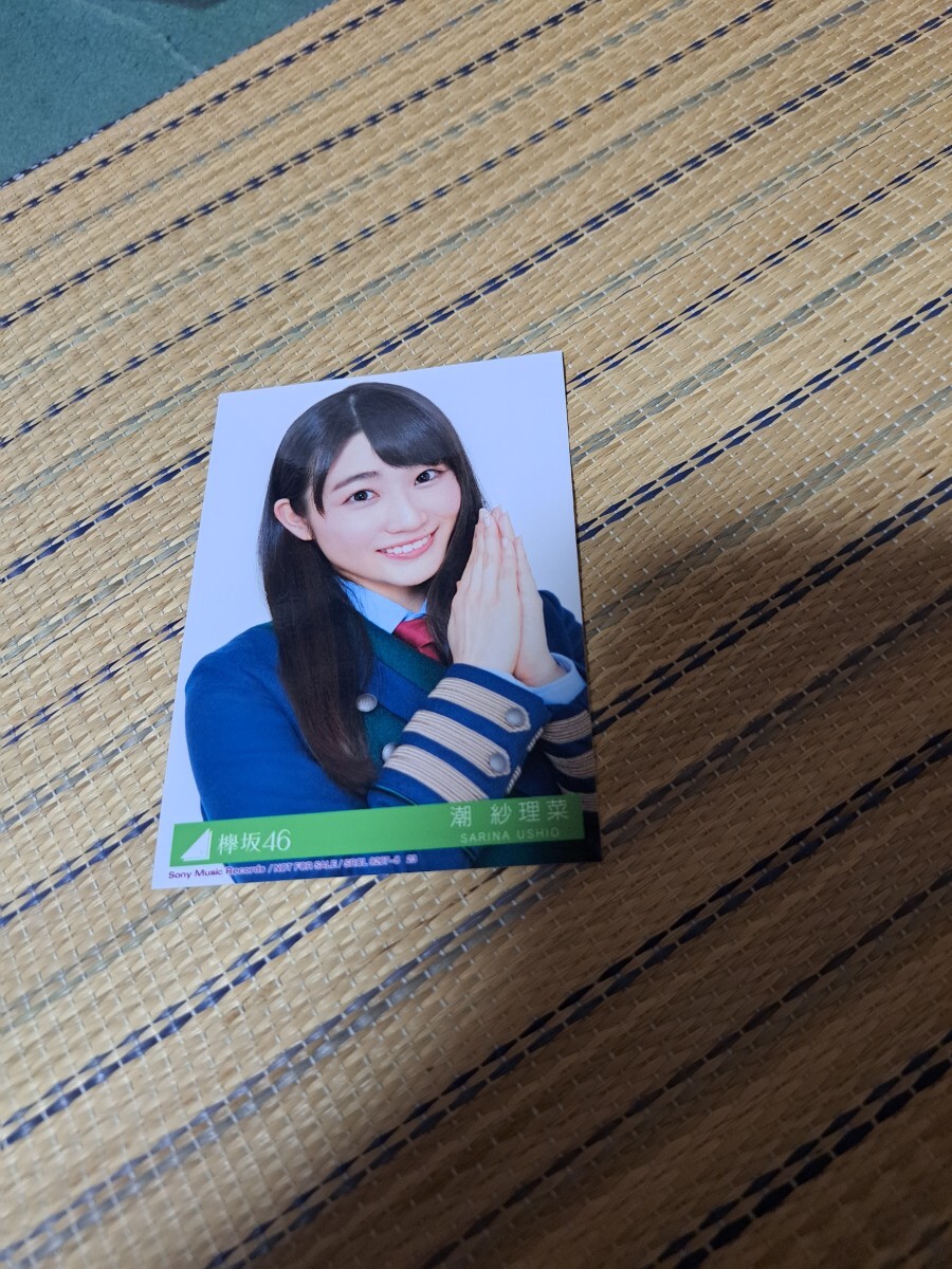 ☆当選品☆欅のキセキ 欅坂46 長濱ねる オリジナルフォト5枚セット