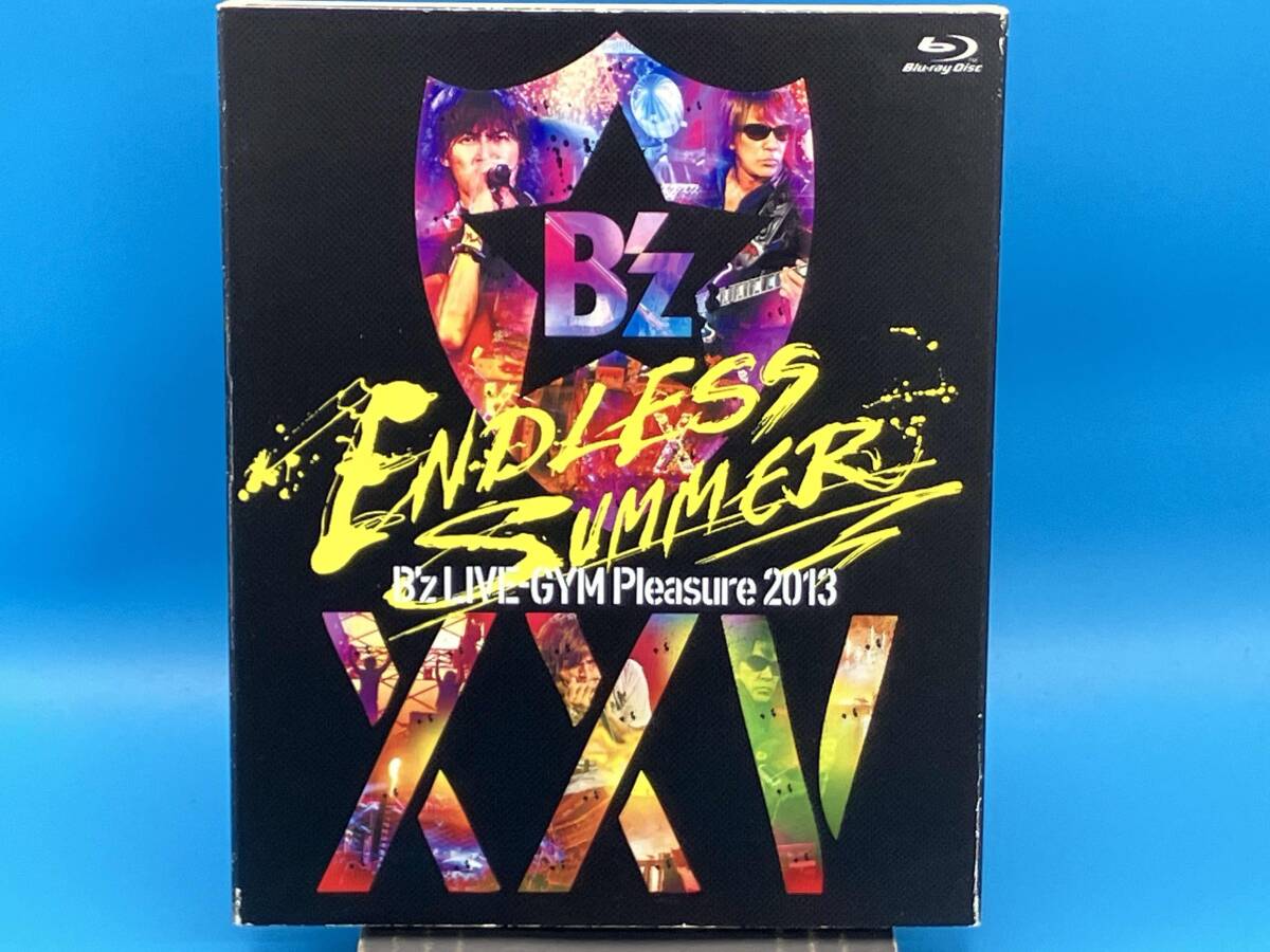 B'z LIVE-GYM Pleasure 2013 ENDLESS SUMMER Tシャツ・XL・ボーダー