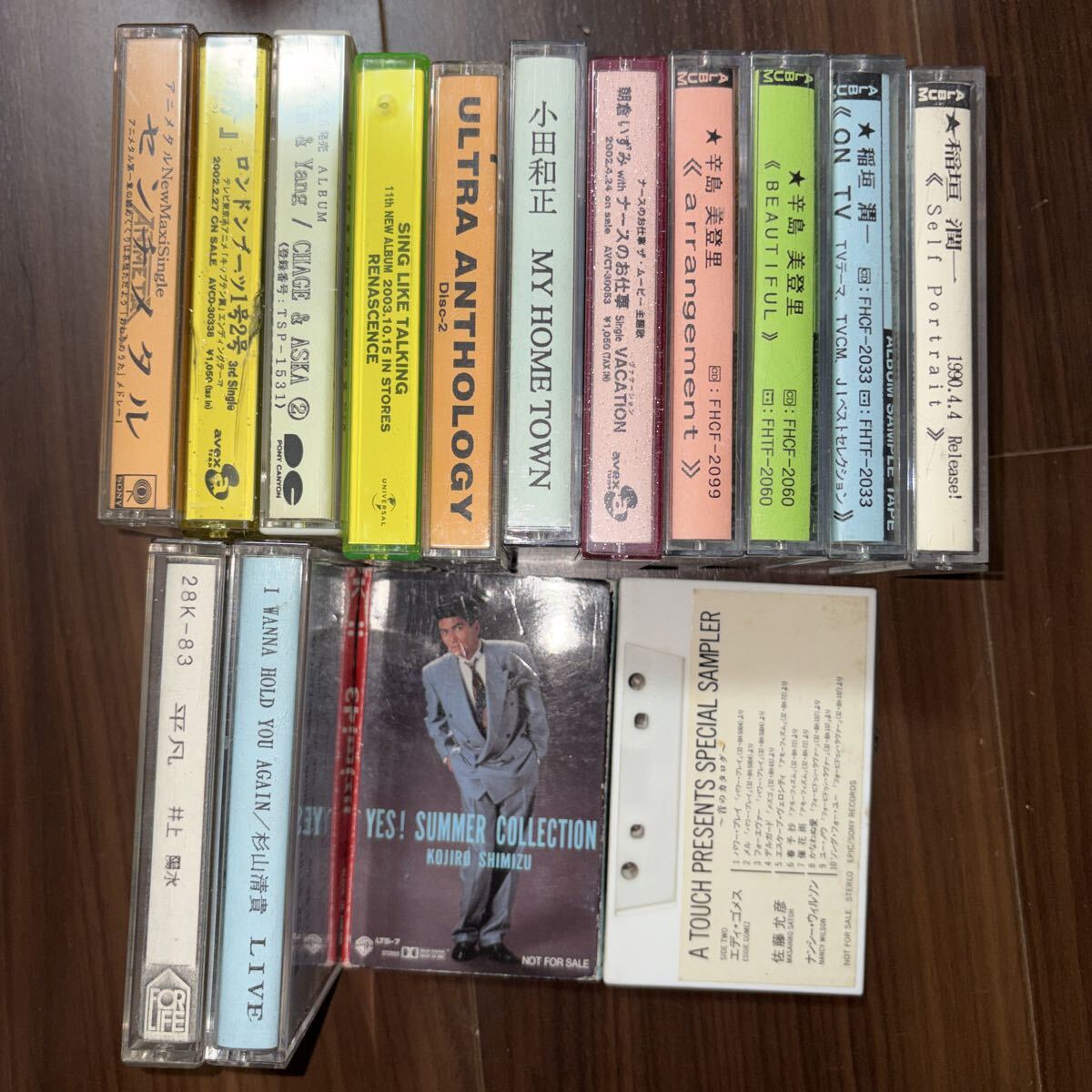 本 Otsuka Pharmaceutical 洋書