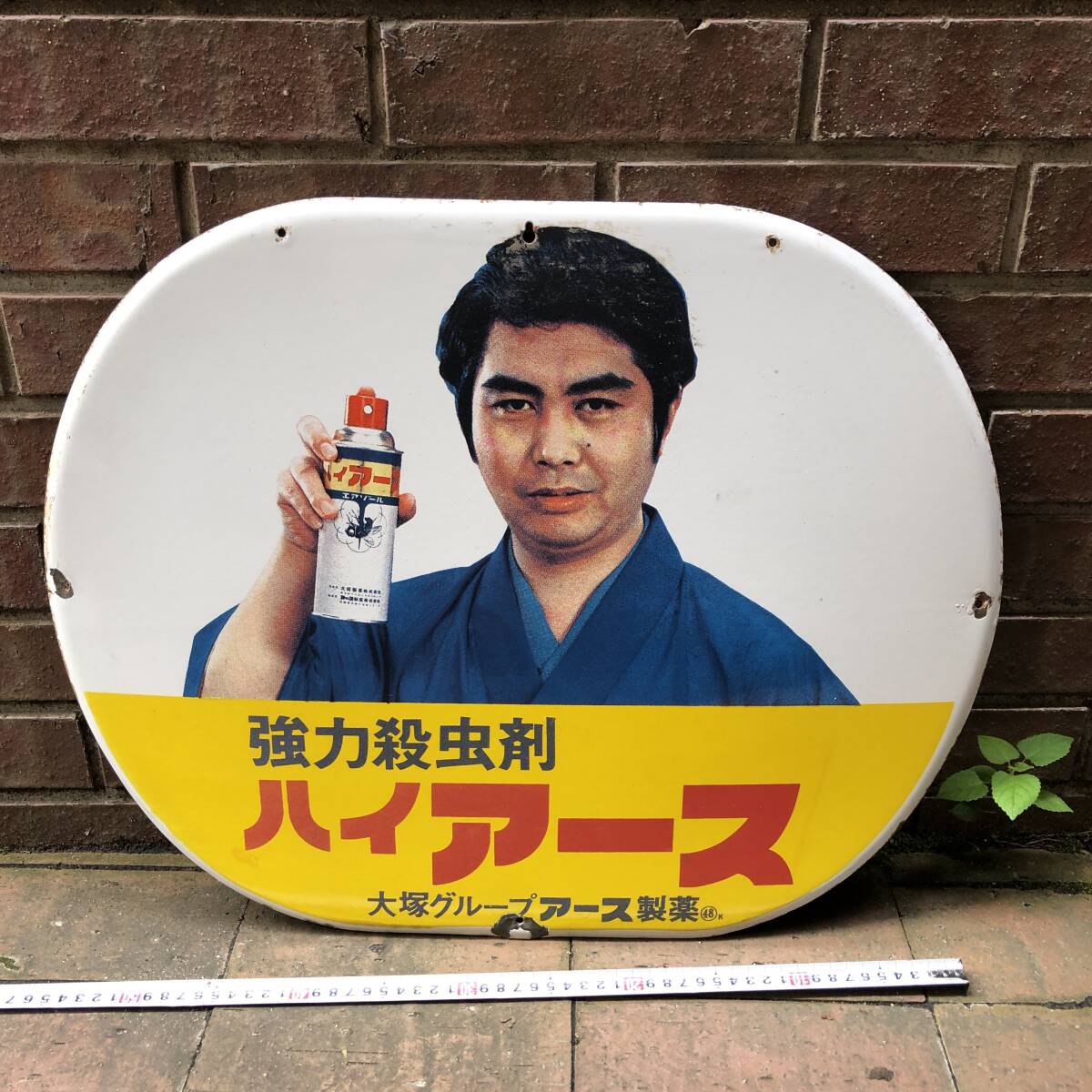 やや傷や汚れあり】☆両面看板/当時物/昭和レトロ/アース製薬/ホーロー