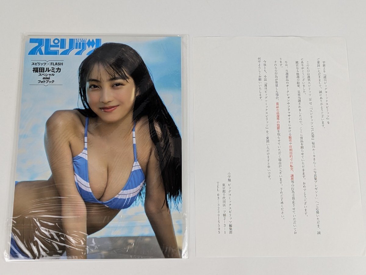 未使用】【FLASHスペシャル 豊田ルナ 等身大ビキニポスター 】縦