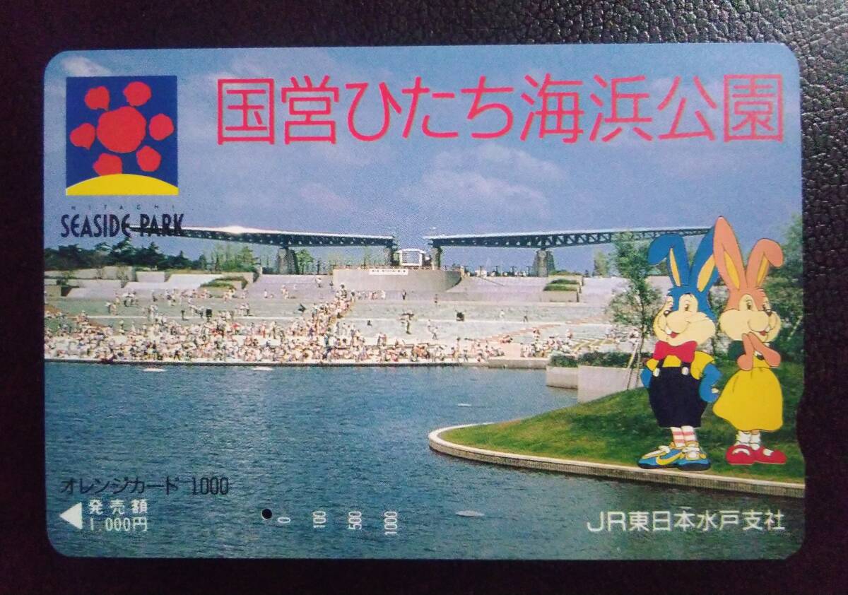 ぐるり森 海くん 花ちゃん 地域限定 キラカード 国営ひたち海浜公園の